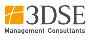 3DSE